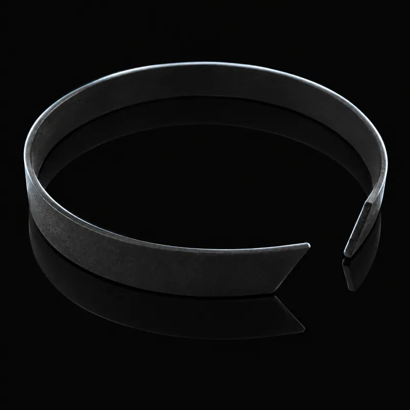 Wear ring, 4100931