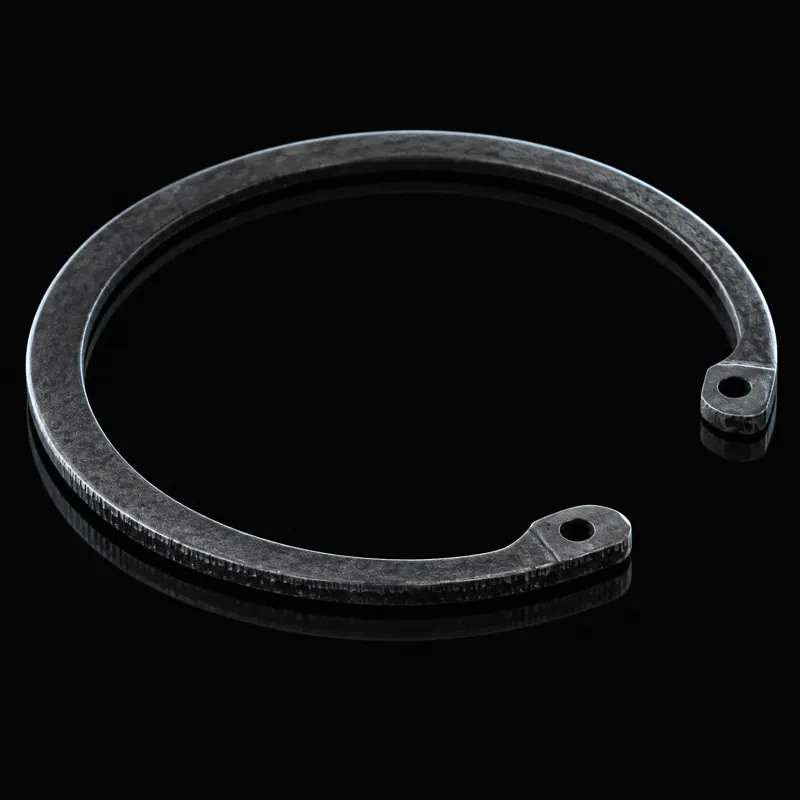 Retaining ring, 4100731