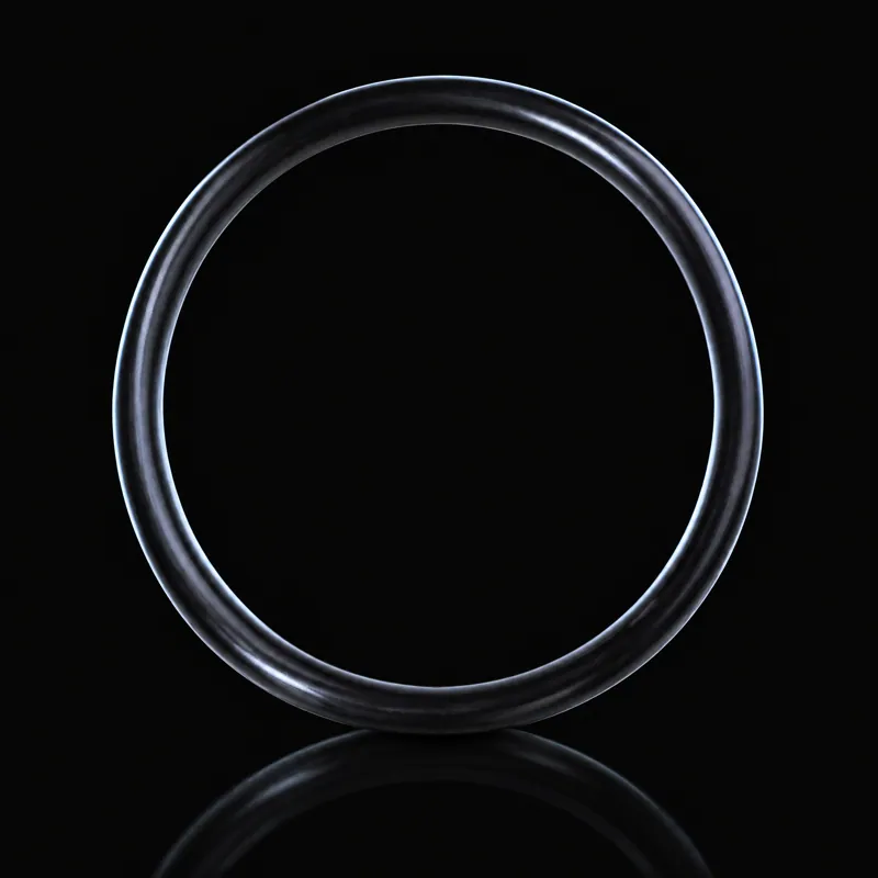 O-Ring Ring LP Wat. Inl. SLIV, 10074904