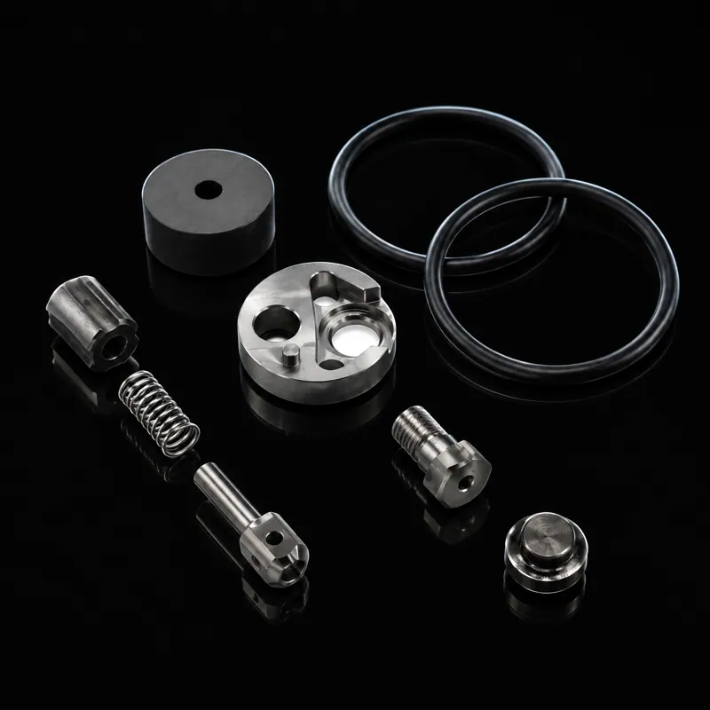 Check Valve repair kit, 302003-2