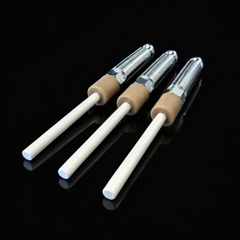Plunger Assembly Kit, 304885