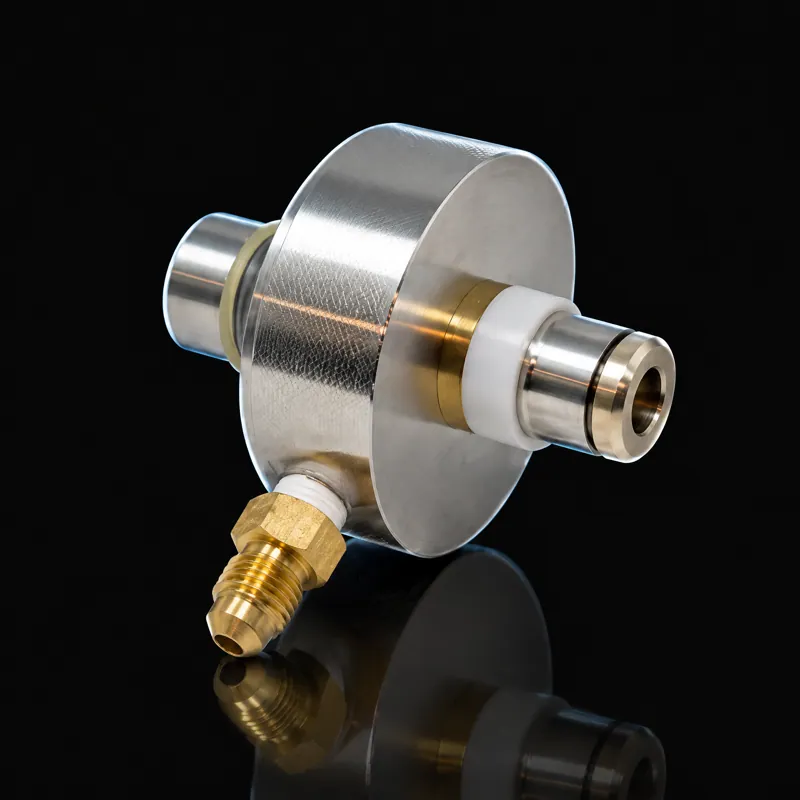 Check valve Assembly, 303401