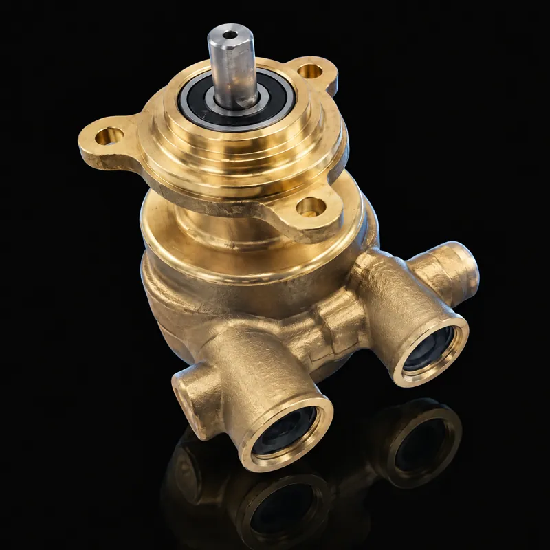 Charge Pump 100 GPH, HT/OM, 1-12057, 202015