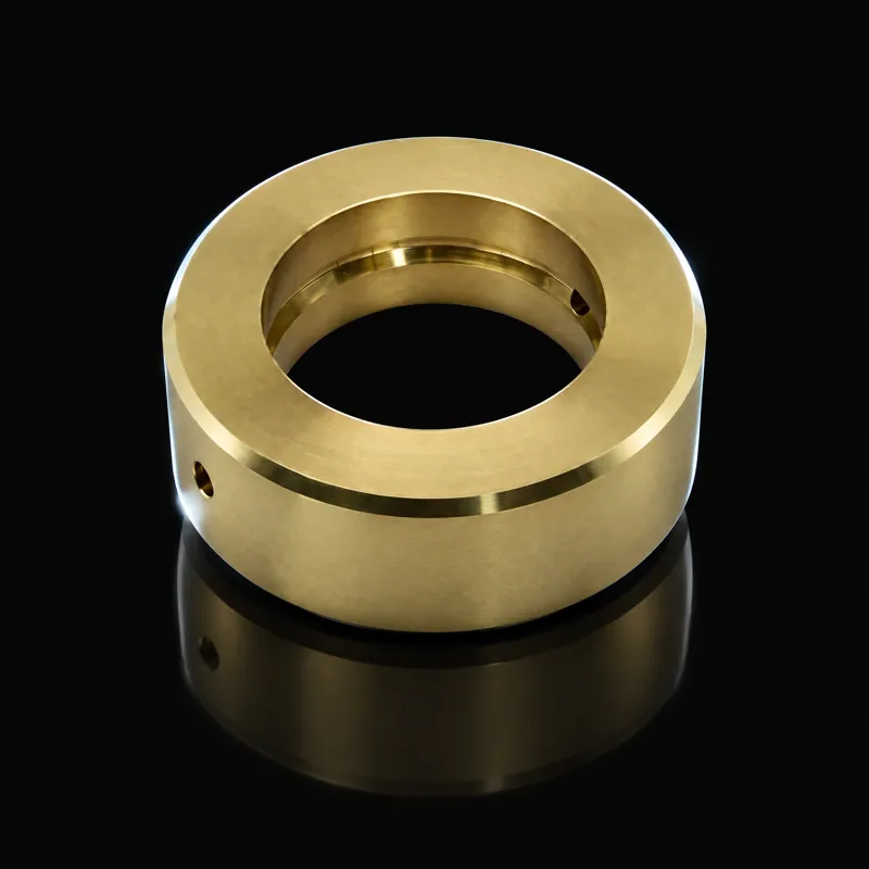 AS Piston Plunger Retaining Ring, 1-11310