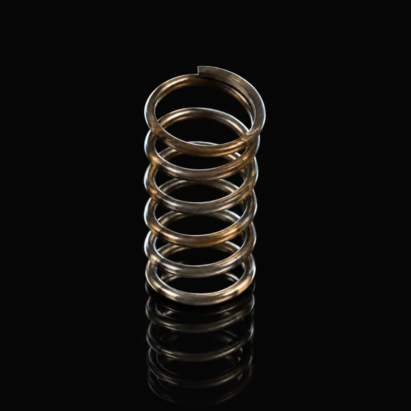 Check Valve Poppet Spring, 1-11126