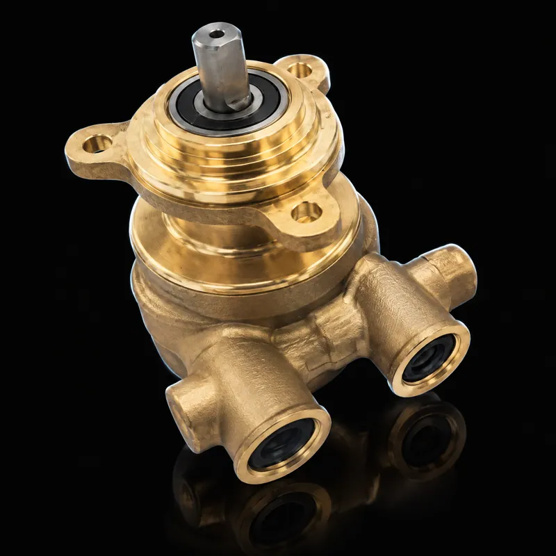 Charge pump, 165 GPH, 203745